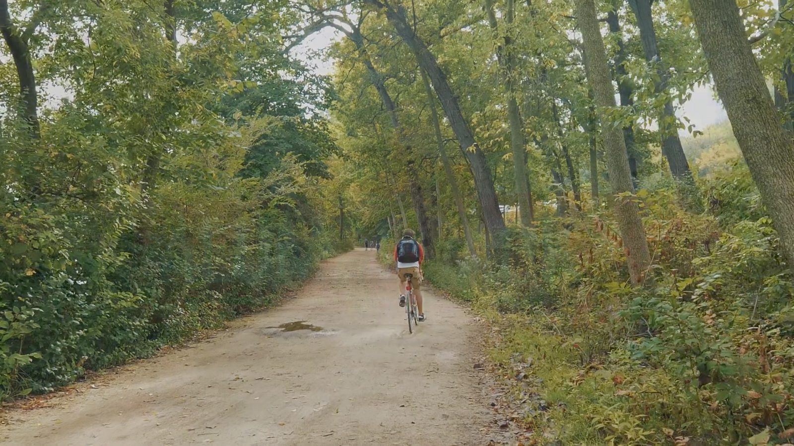 A bicyclist is seen riding away from the camera into a dense forest path.